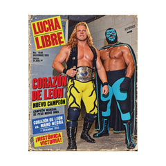 Middleweight Champ 16x20 Rolled Poster Semi Gloss Finish